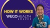 10th Annual WEGO Health Awards | How it Works 2